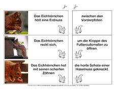 Eichhörnchen-Satzteile-verbinden-einfach 7.pdf